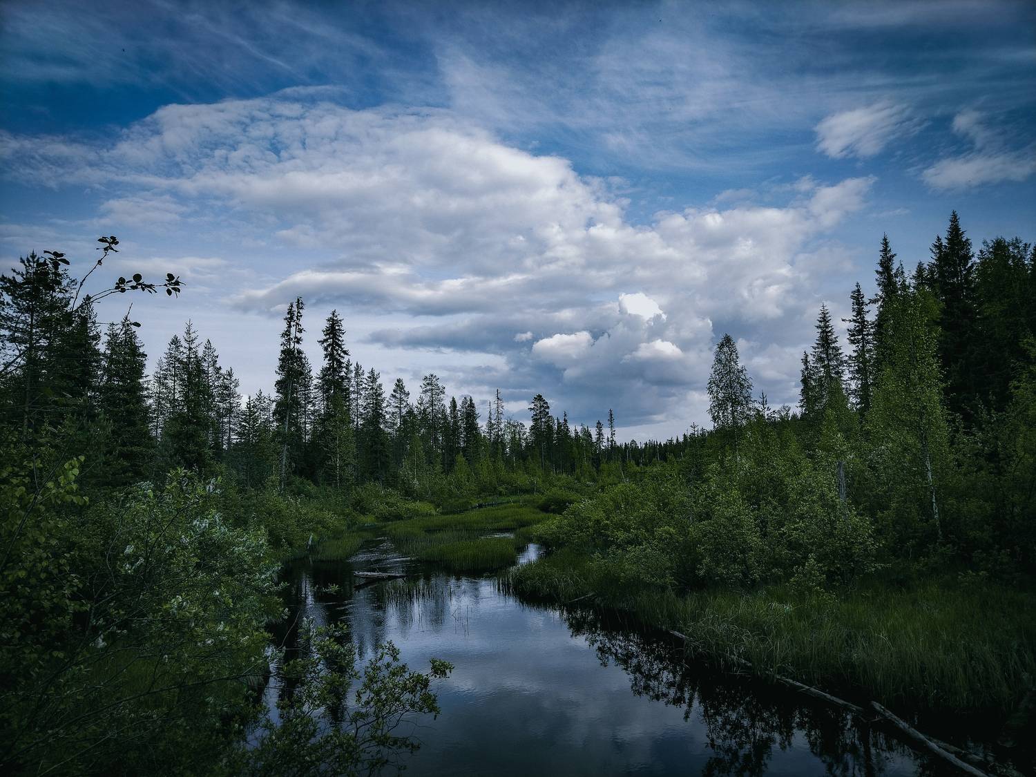 Photo #13172534