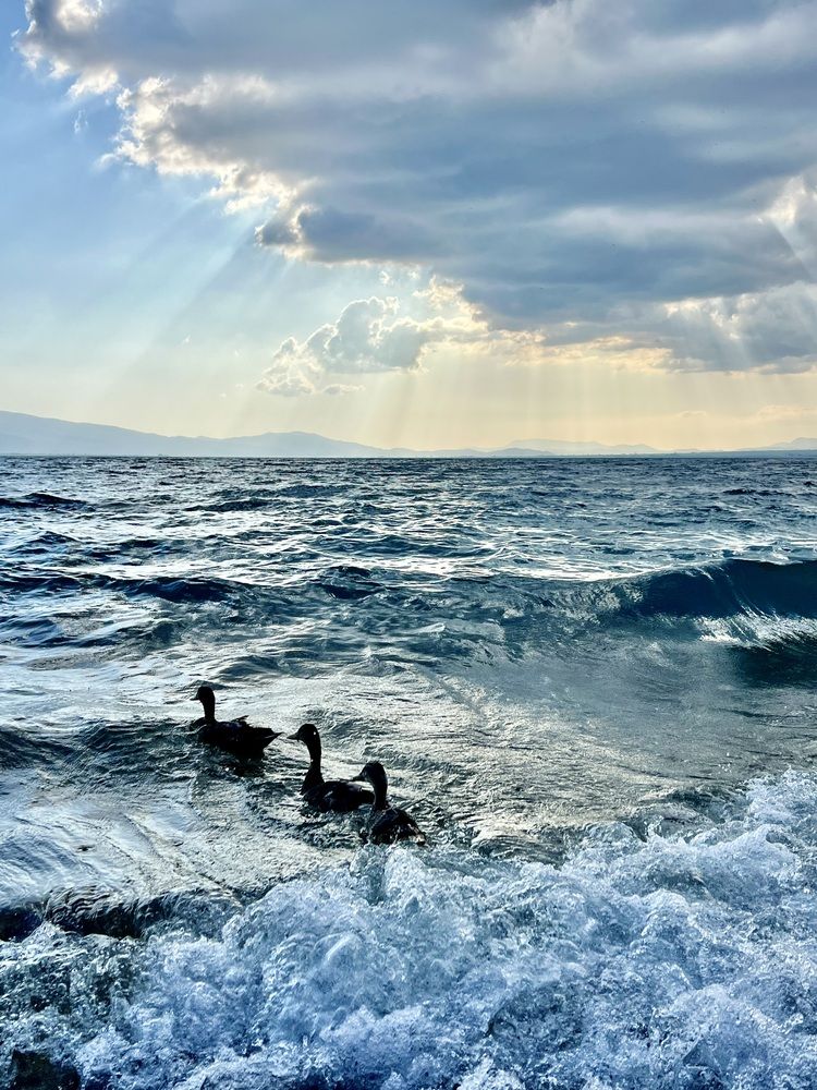 Photograph by Eleni Christogianni