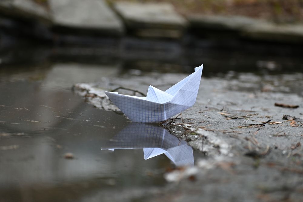 Фотография автора АНАСТАСИЯ ЛЕВИНА