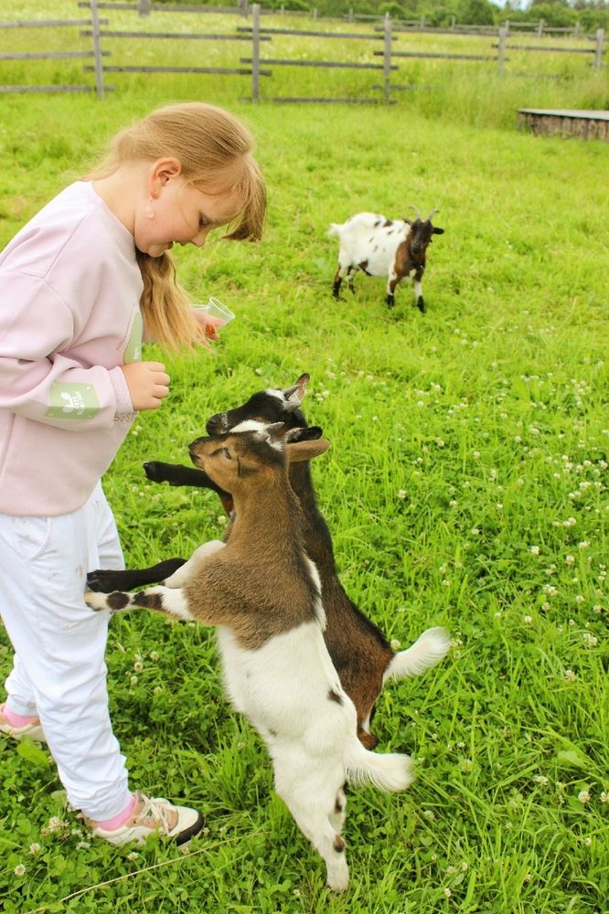 Photograph by Анна