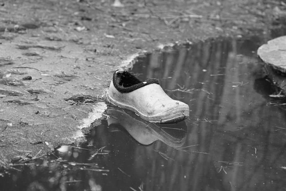 Фотография автора АНАСТАСИЯ ЛЕВИНА