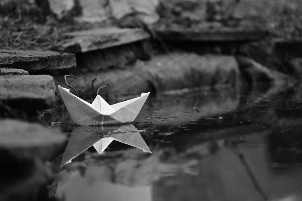 Фотография автора АНАСТАСИЯ ЛЕВИНА