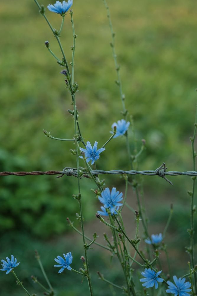 Photograph by Maxim Lip