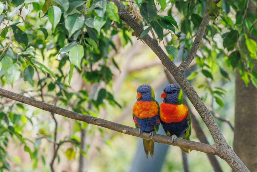 Photograph by Maxim Lip