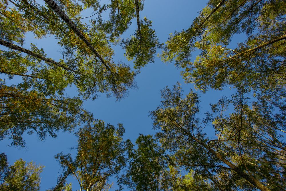 Photograph by Maxim Lip