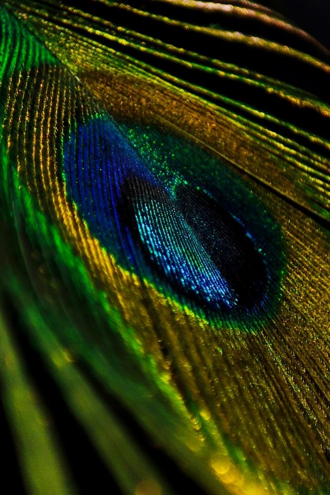 Фотография автора Ирина Строкова