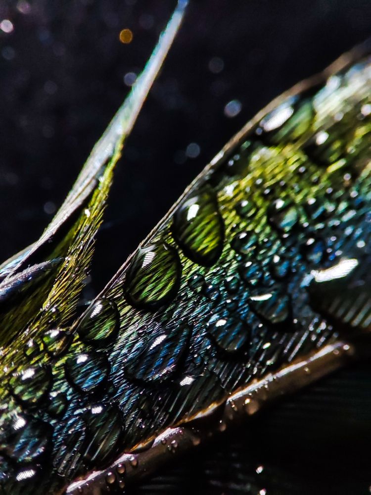 Фотография автора Ирина Строкова