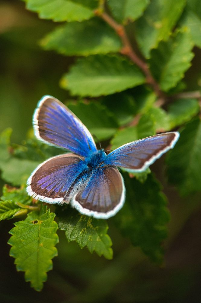 Фотография автора Ирина Строкова