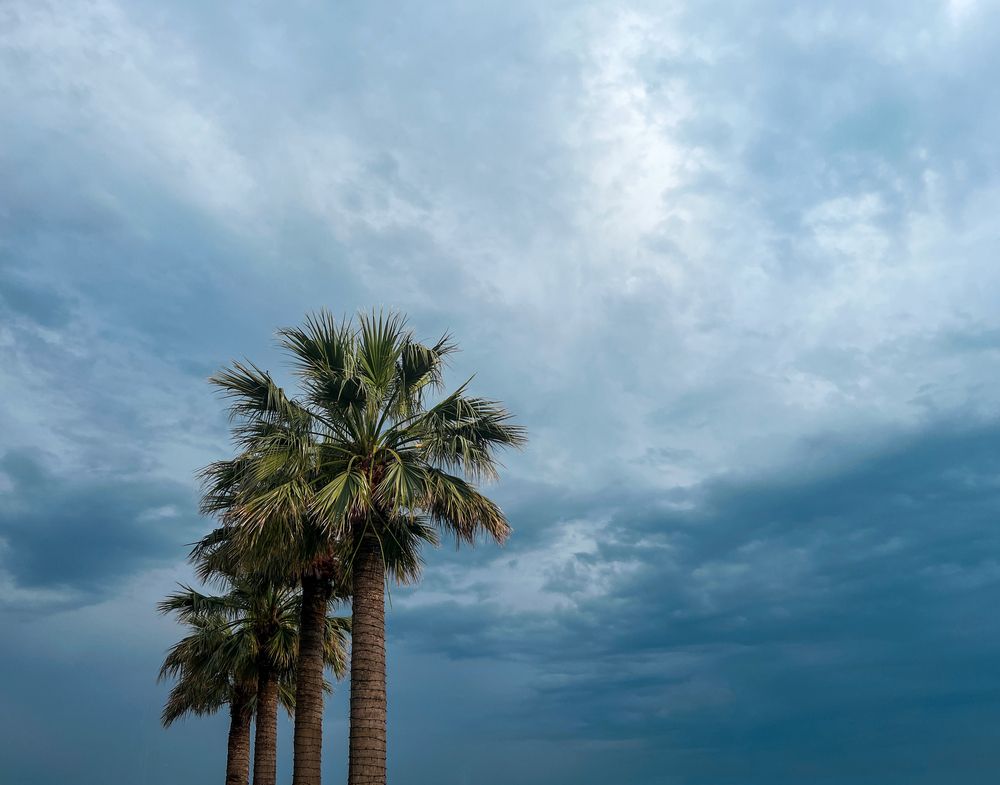 Photograph by Елена Гоосен