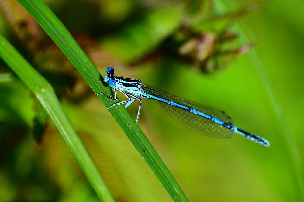 Photograph by Николай Абакумов