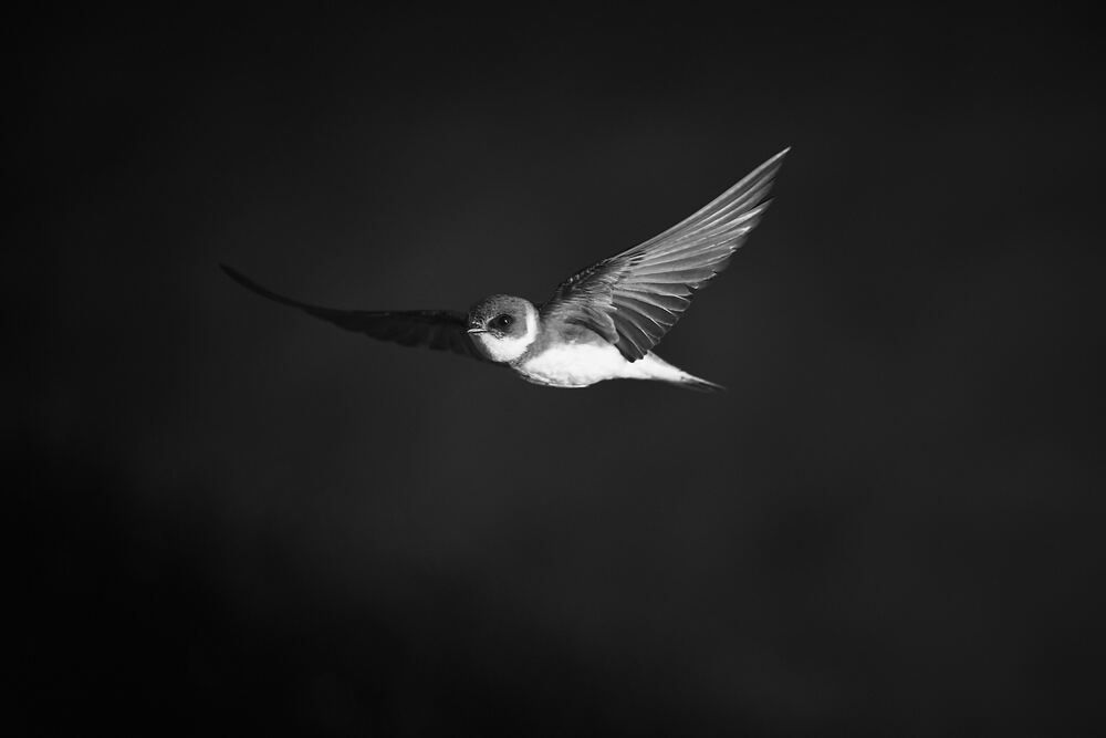 Photograph by Mikhail Khmelevskiy