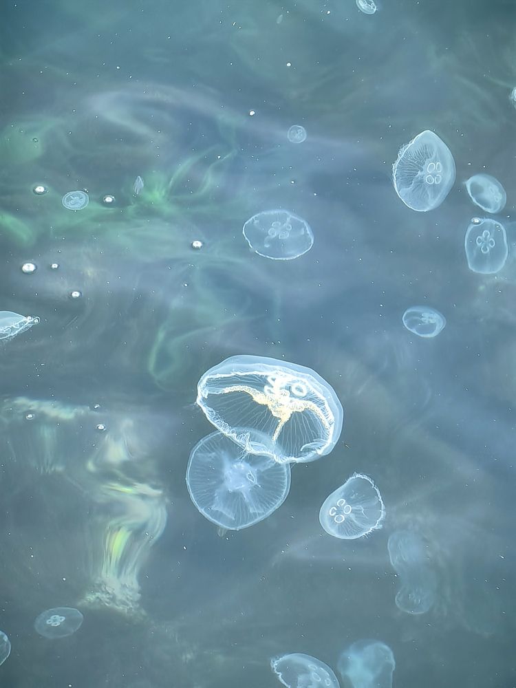 Photograph by Юлия Горелова