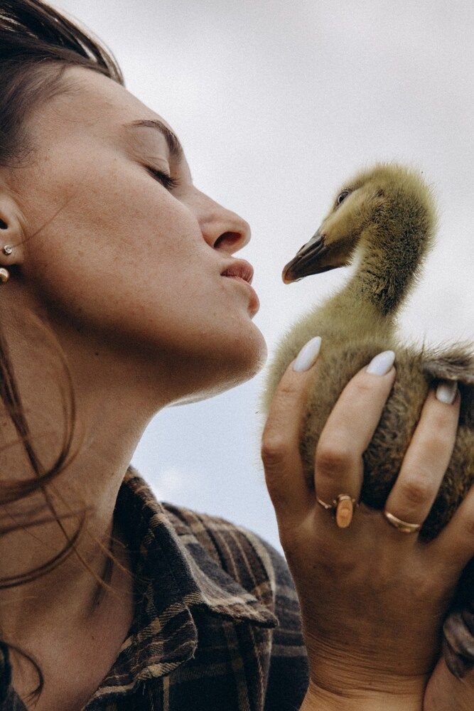 Photograph by Светлана Шибаршина