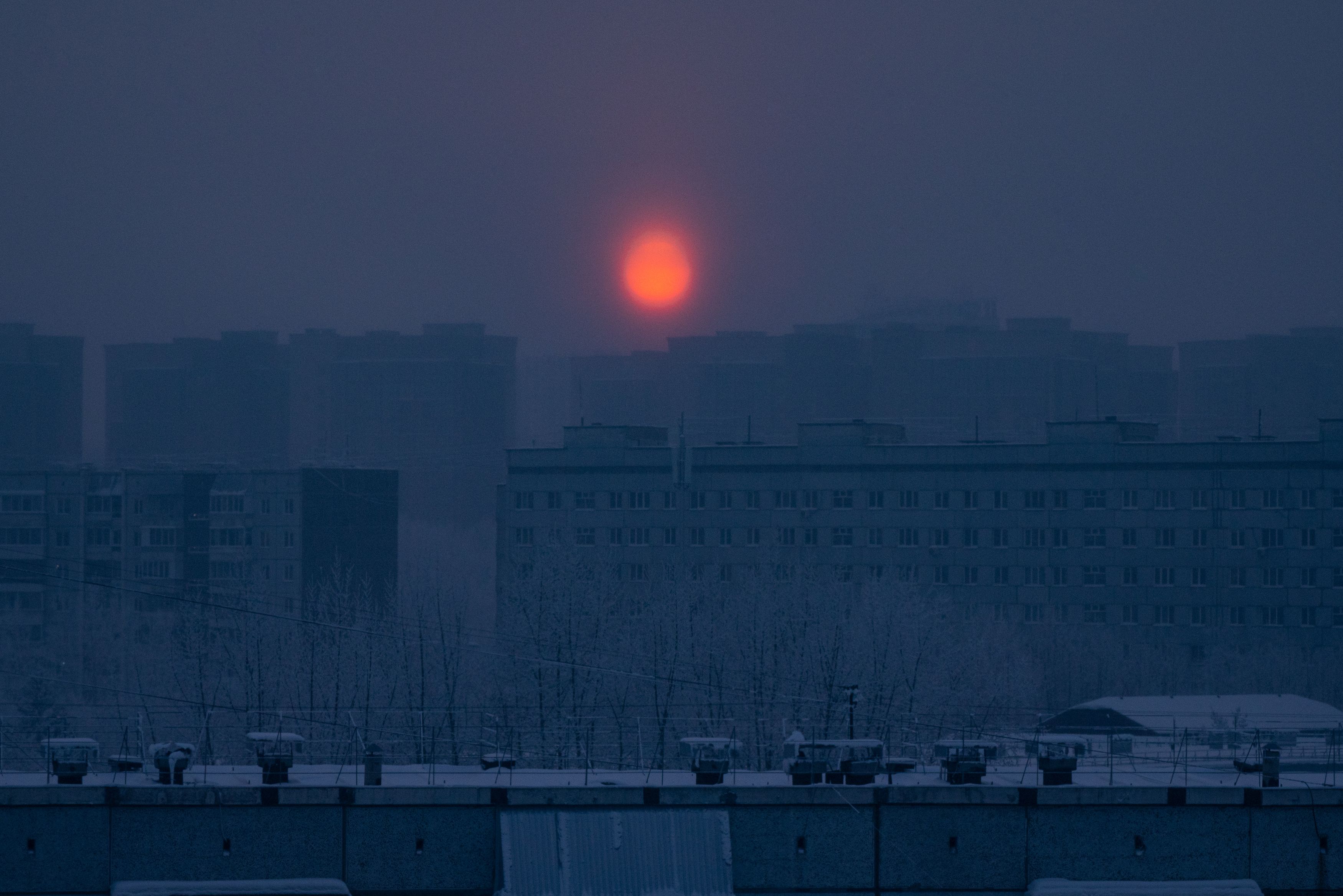 Photograph by Полина Матвеева