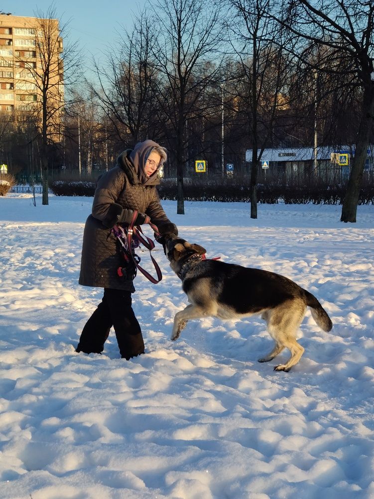 На прогулке