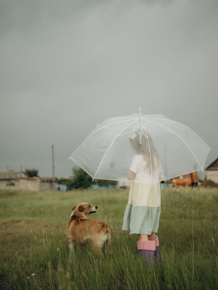 Photograph by Светлана Шибаршина