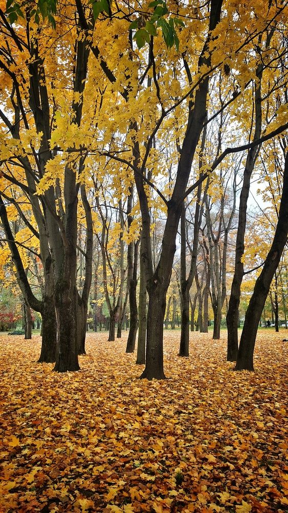 Photograph by Наталья Абилова
