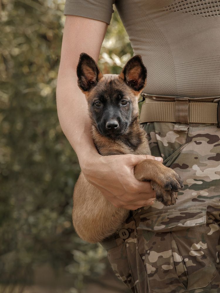 Photograph by Татьяна Тихомирова