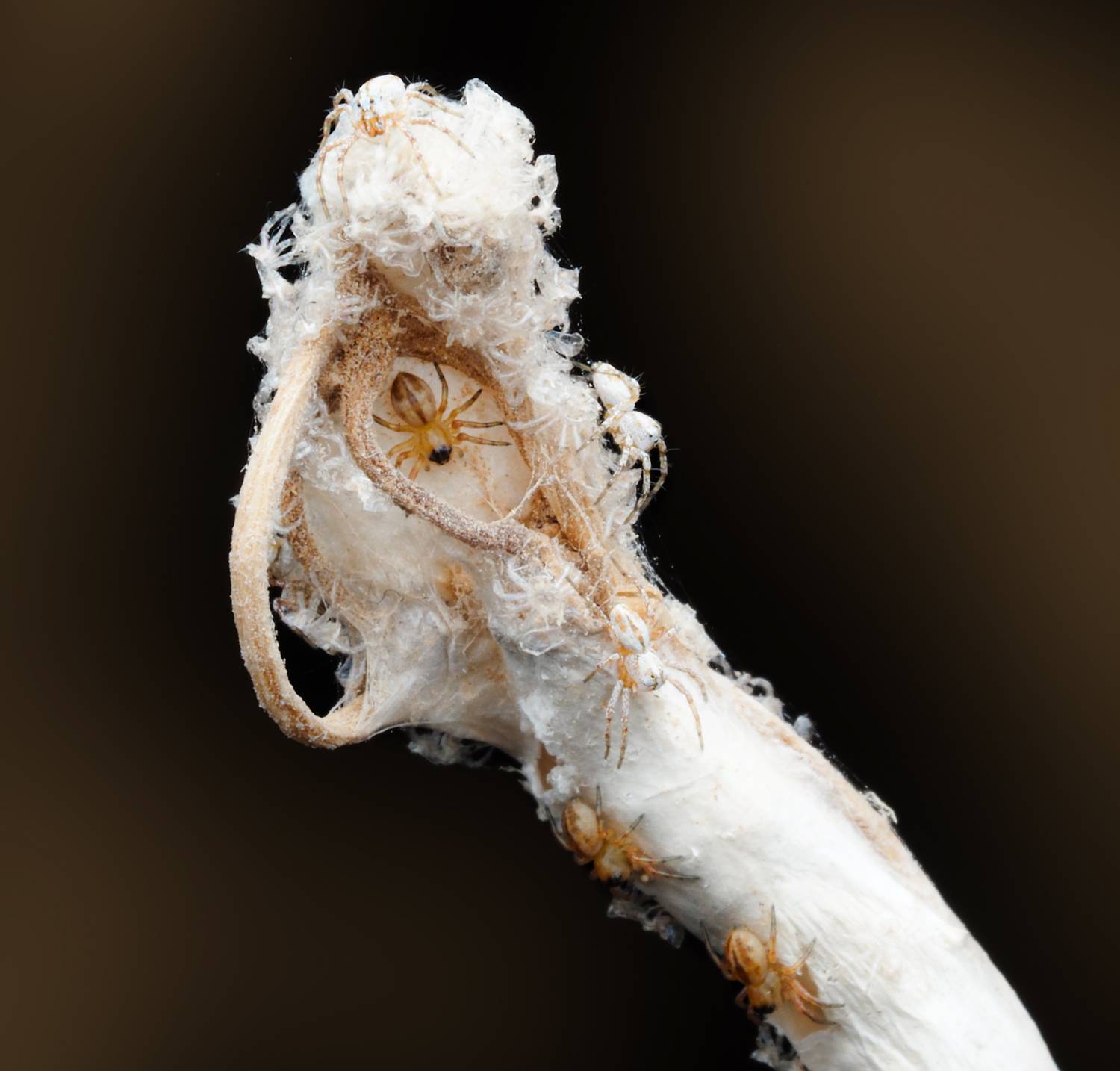 Фотография #13172783