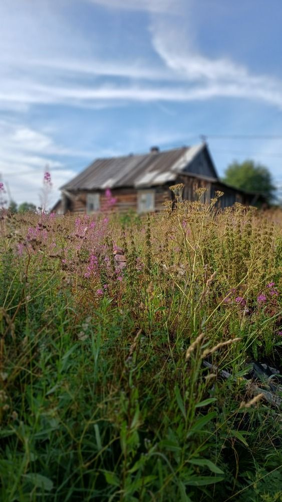 Photograph by Екатерина