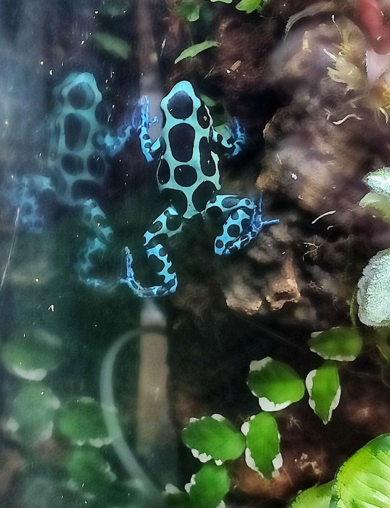 Photograph by Надежда