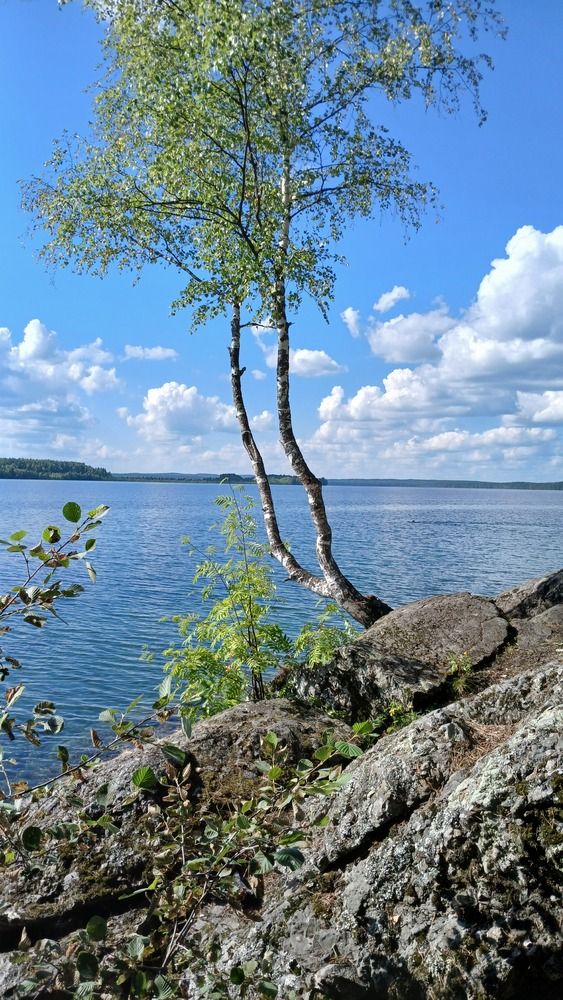 Photograph by Екатерина