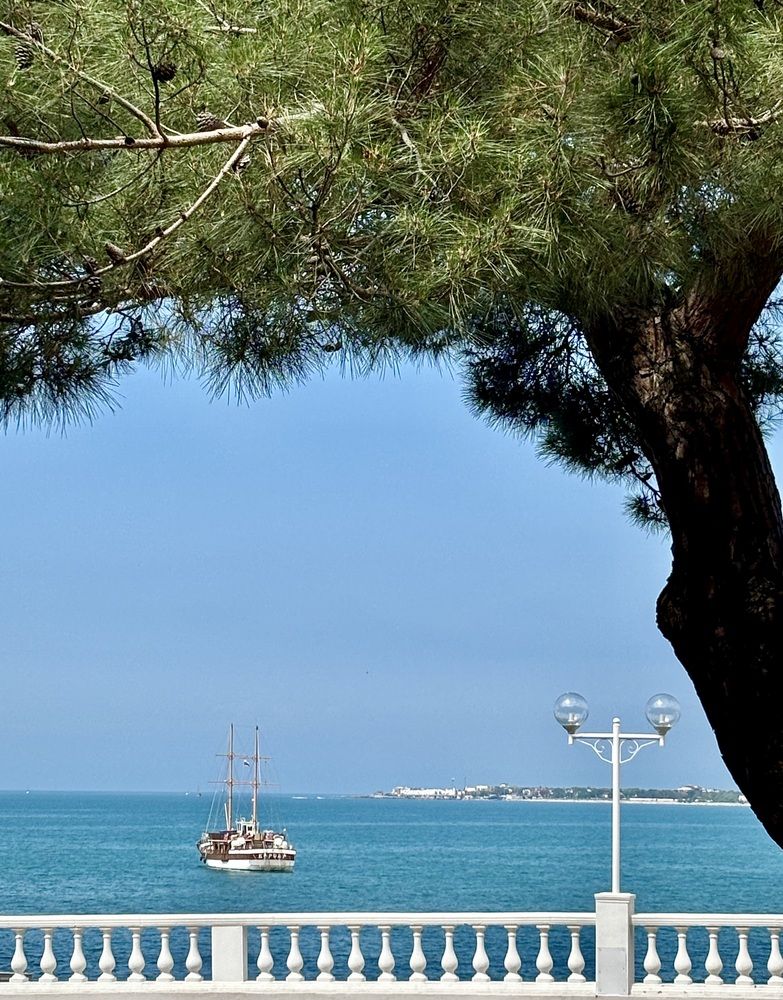 Photograph by Михаил Коган