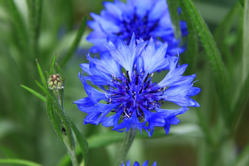 Фотография автора Сергей Кульков
