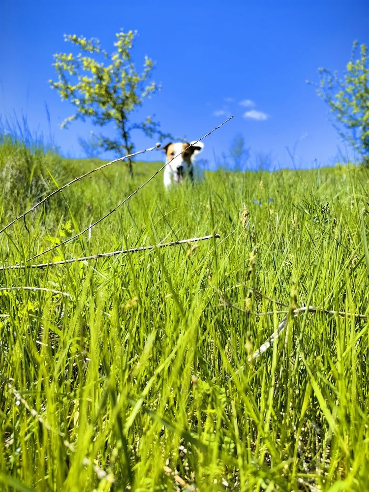 Photograph by Юлия Горелова