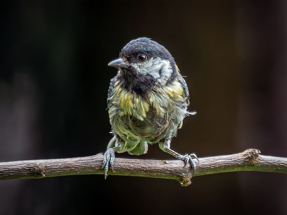 Ветеран боевых действий.