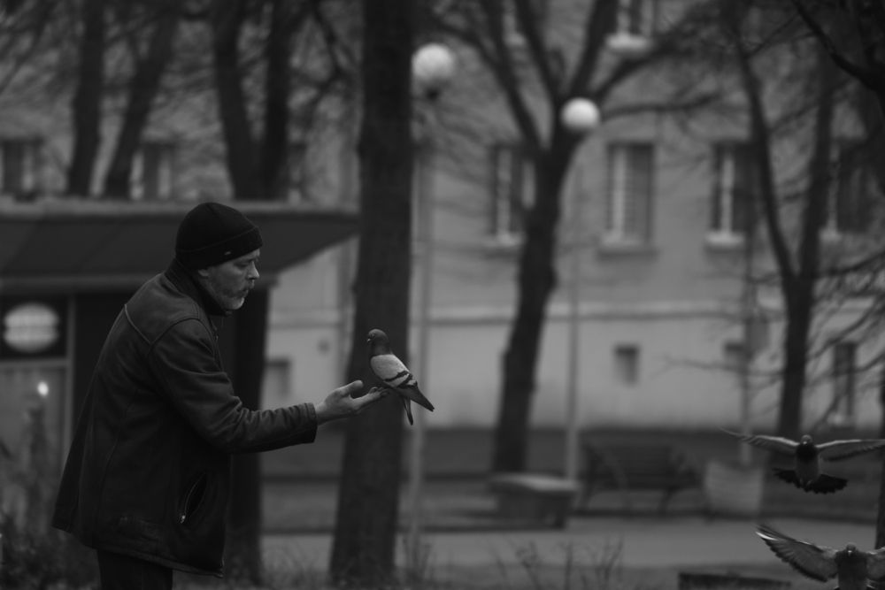Photograph by Вадим Кондратюк