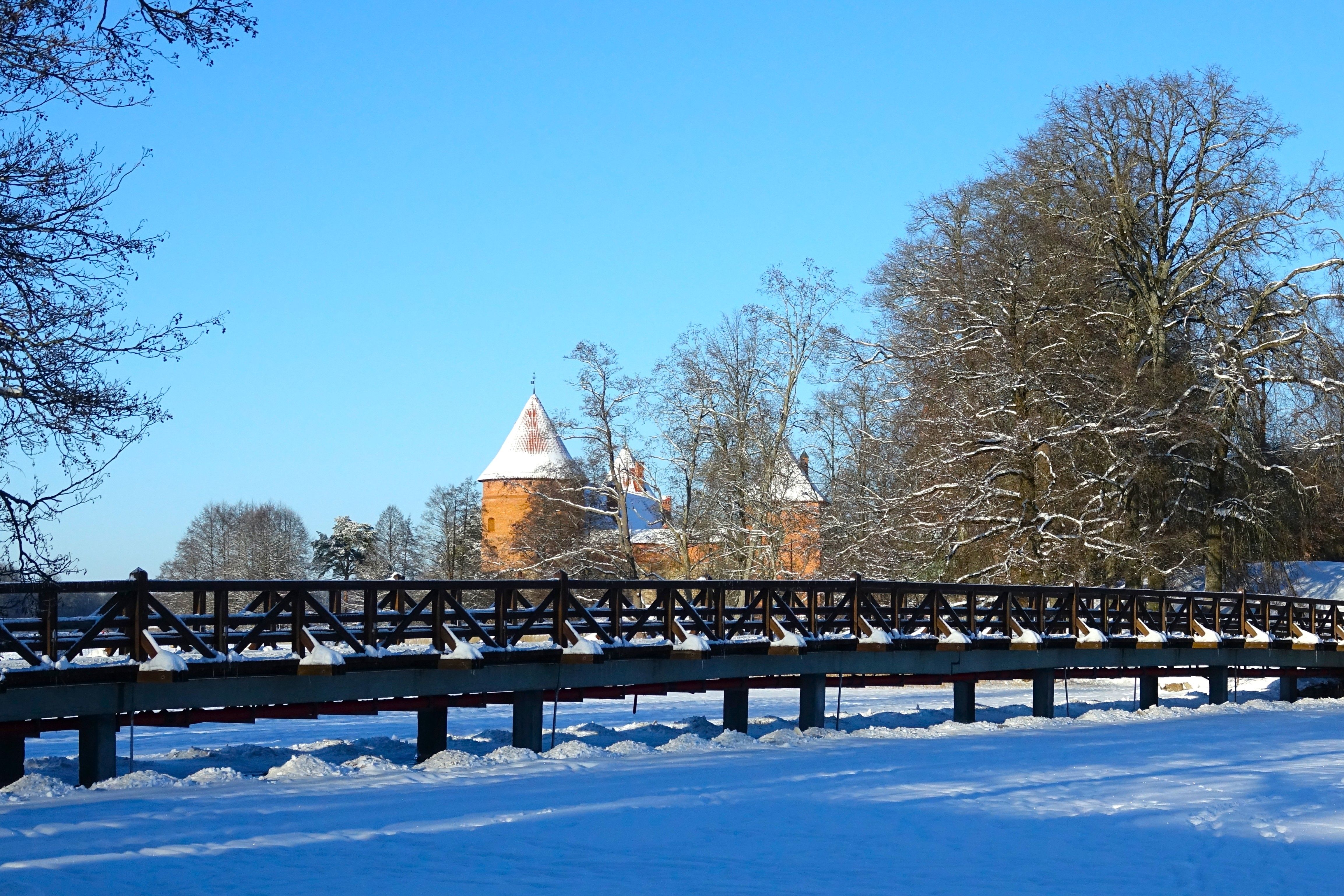 Photograph by jelena konickaja