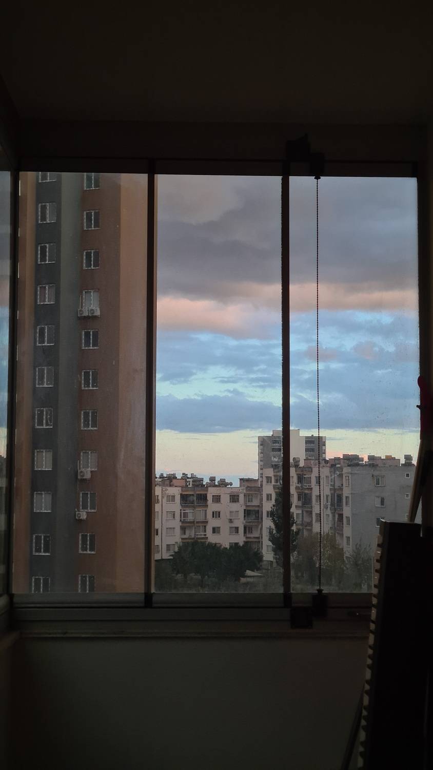 Photo #13172940