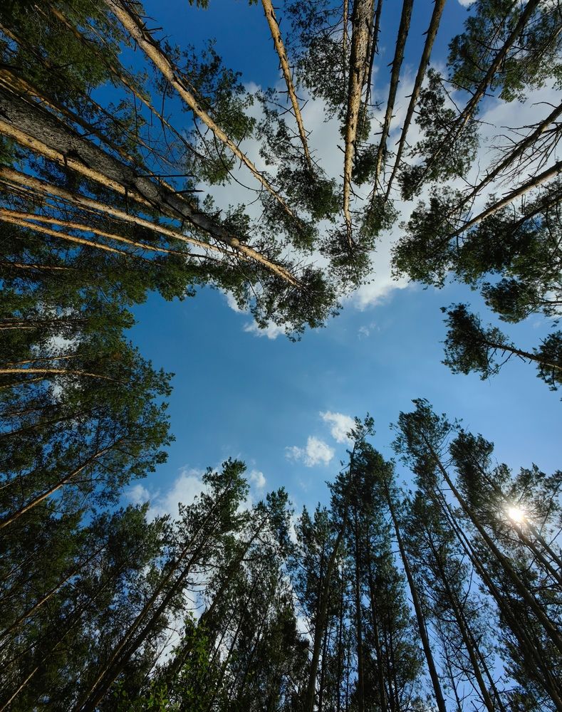 Фотография автора Ольга Панасюк