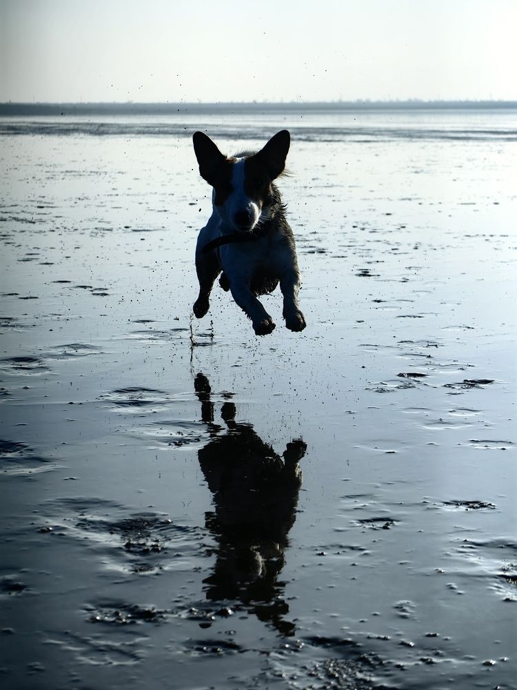 Photograph by Юлия Горелова