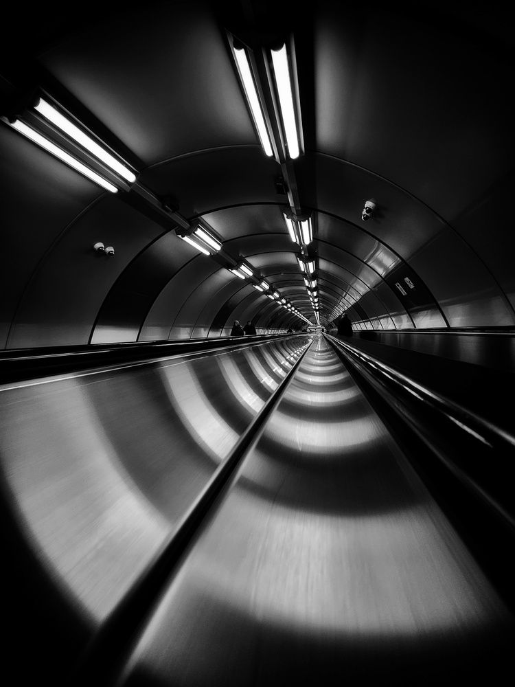 Фотография автора Алёна Михайлова