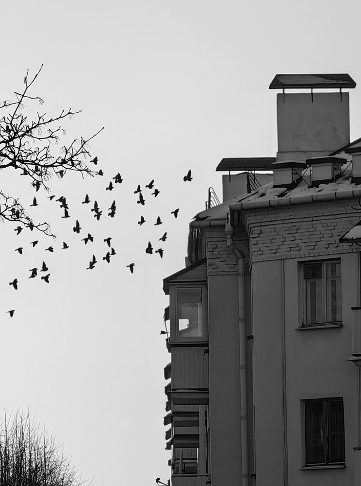 Фотография автора Ольга Панасюк