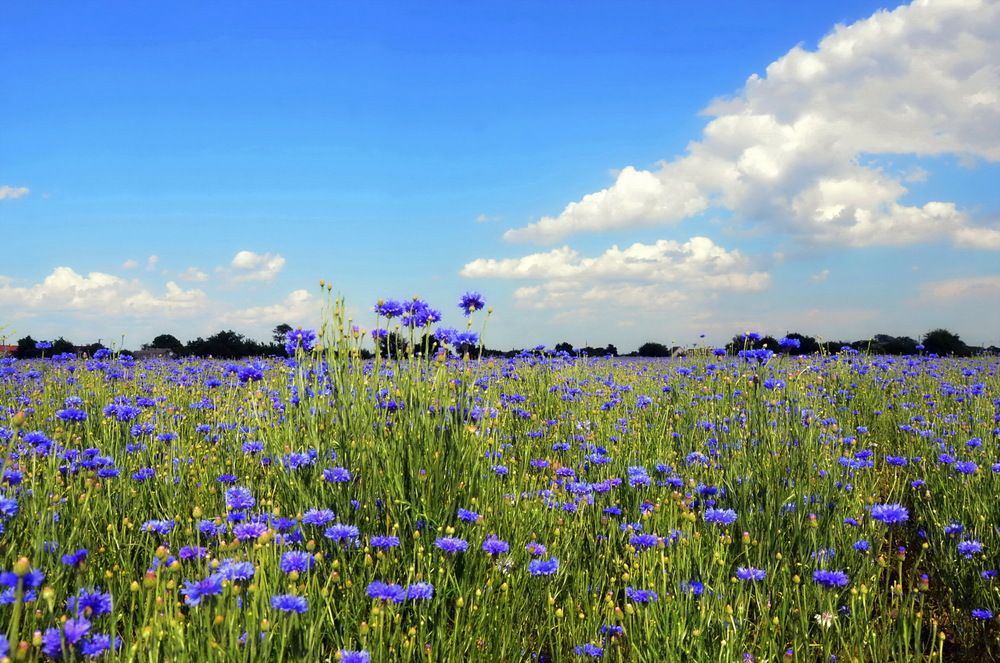 Фотография автора ВЛАДИМИР Тертышник
