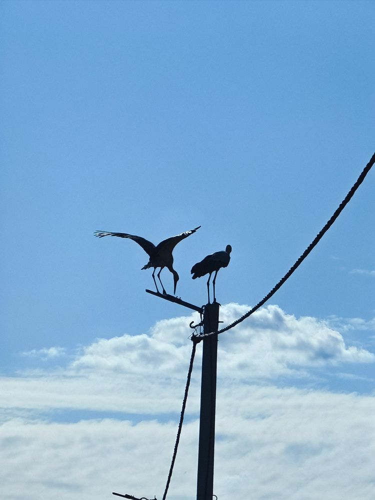 Фотография автора Ольга Панасюк