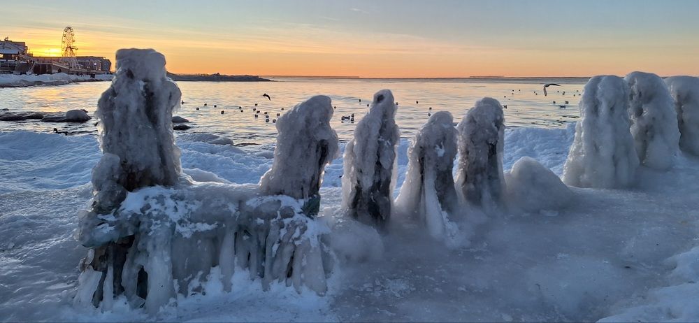 Photograph by Дина Темницкая