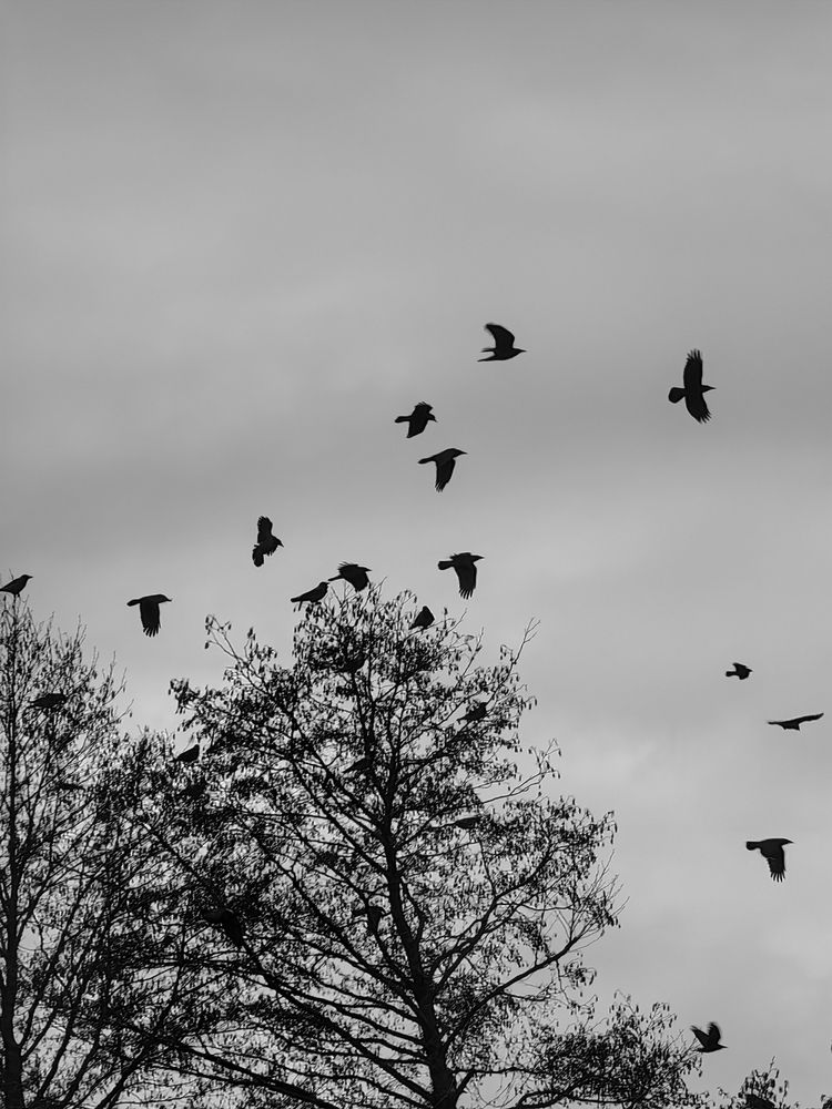 Фотография автора Ольга Панасюк