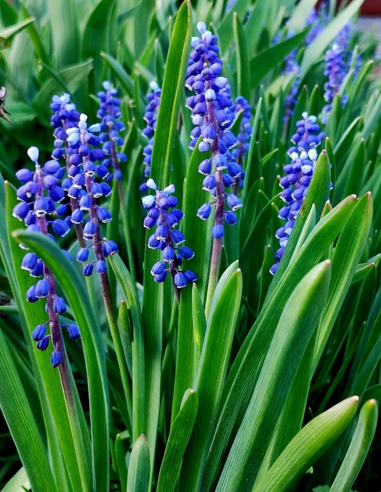 Фотография автора Рузинова Елена