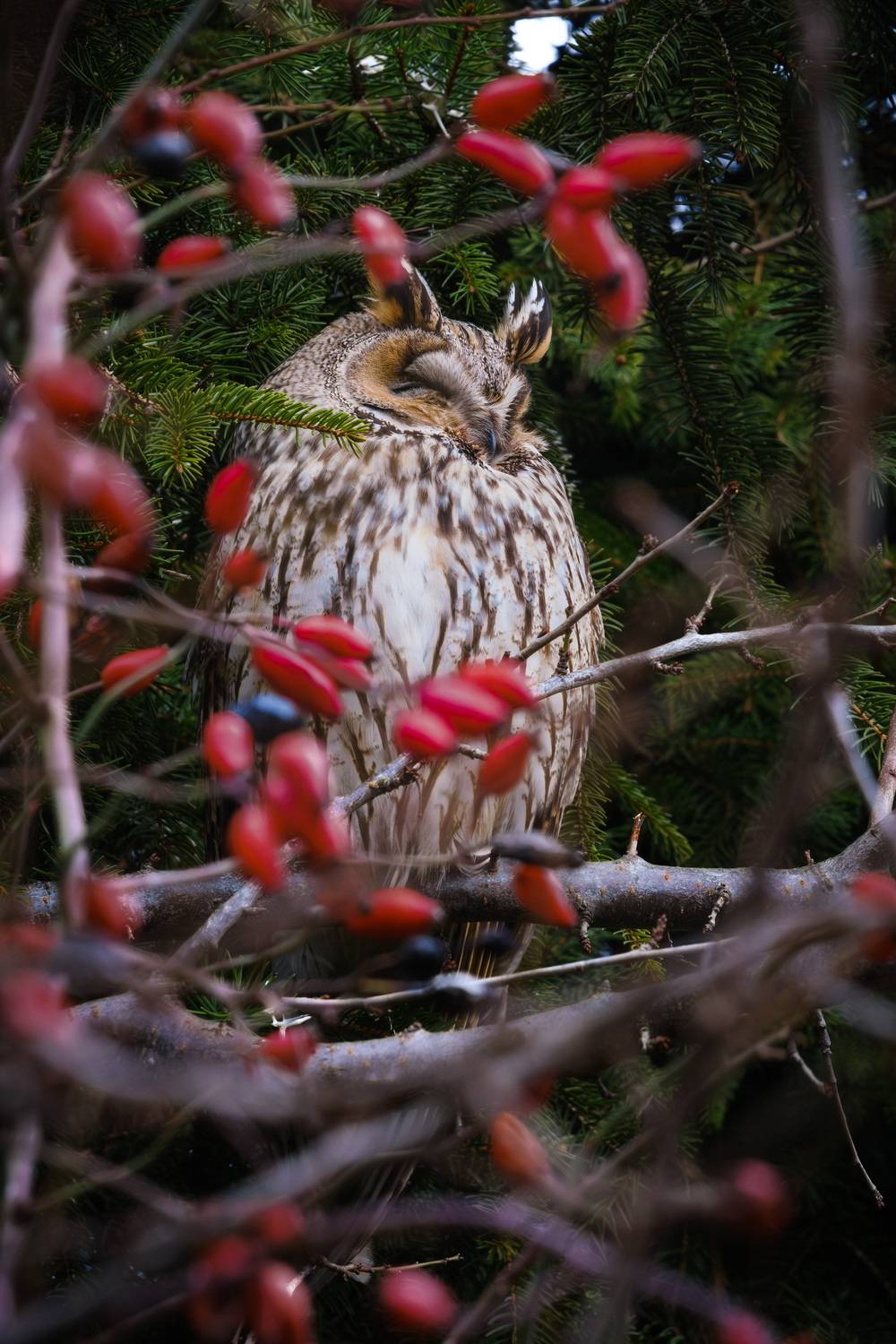 Фотография #13173033