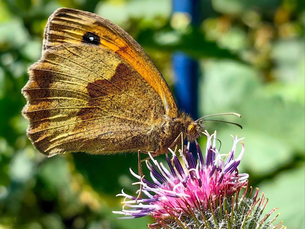 Photograph by Edgars Kublins