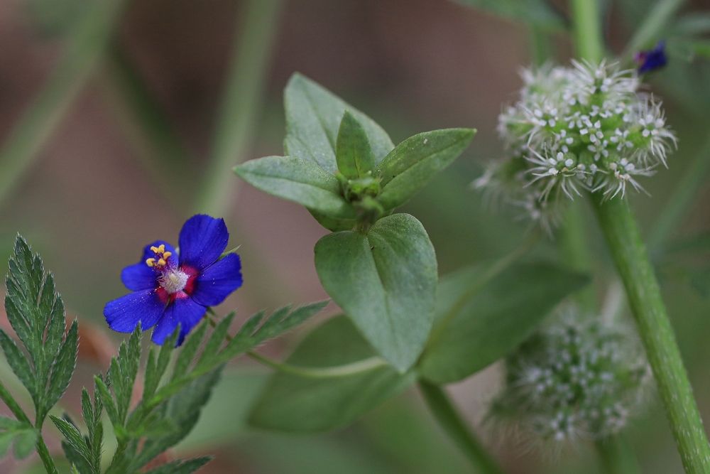 Фотография автора Sharone