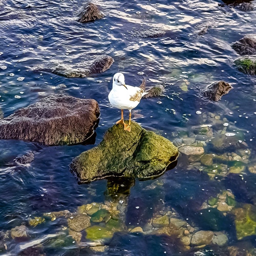 Photograph by Сергей Мамалюк