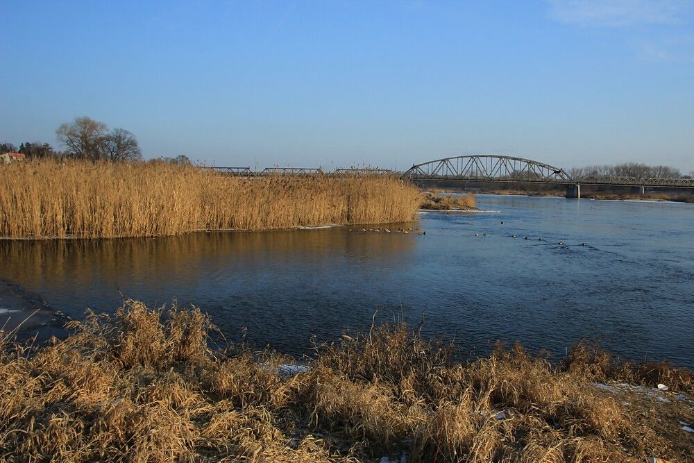 Photograph by Maciej Morgiel