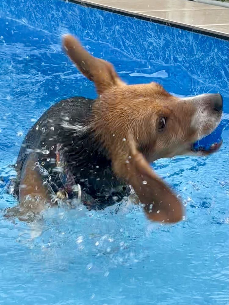 Photograph by Nagasaki Marina