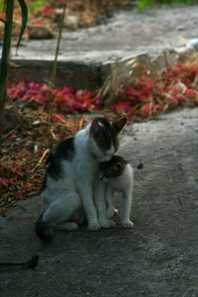 Photograph by kostis sel