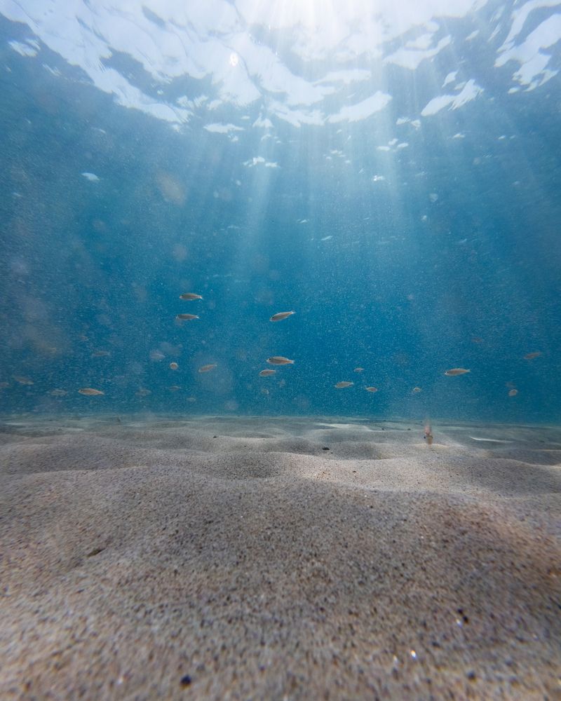 Photograph by Артём Гуцалюк